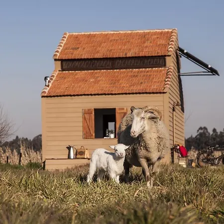 Be And In Nature * Ovar