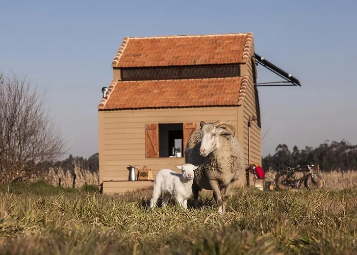 Be And In Nature * Ovar