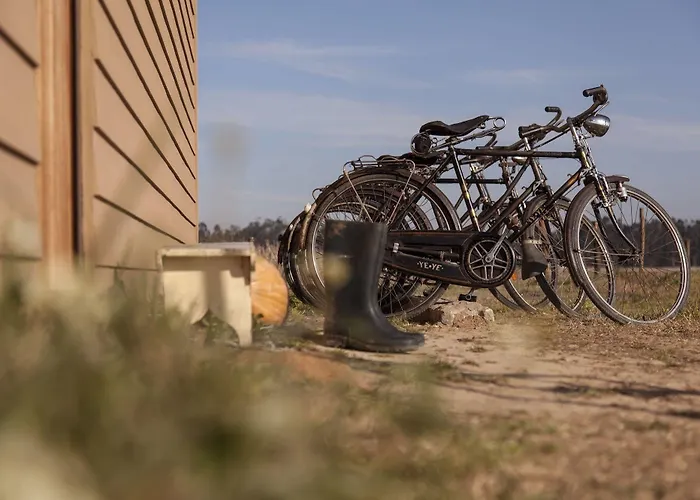 Casa de Campo Be And In Nature Ovar