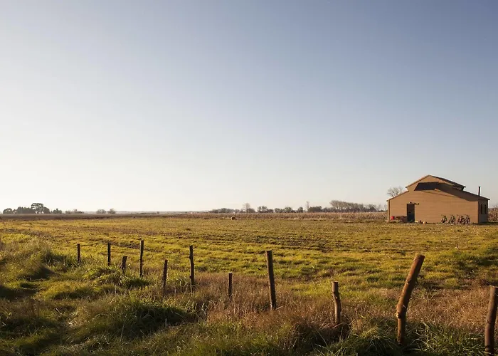 Casa de Campo Be And In Nature Ovar
